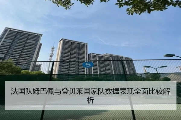 法国队姆巴佩与登贝莱国家队数据表现全面比较解析